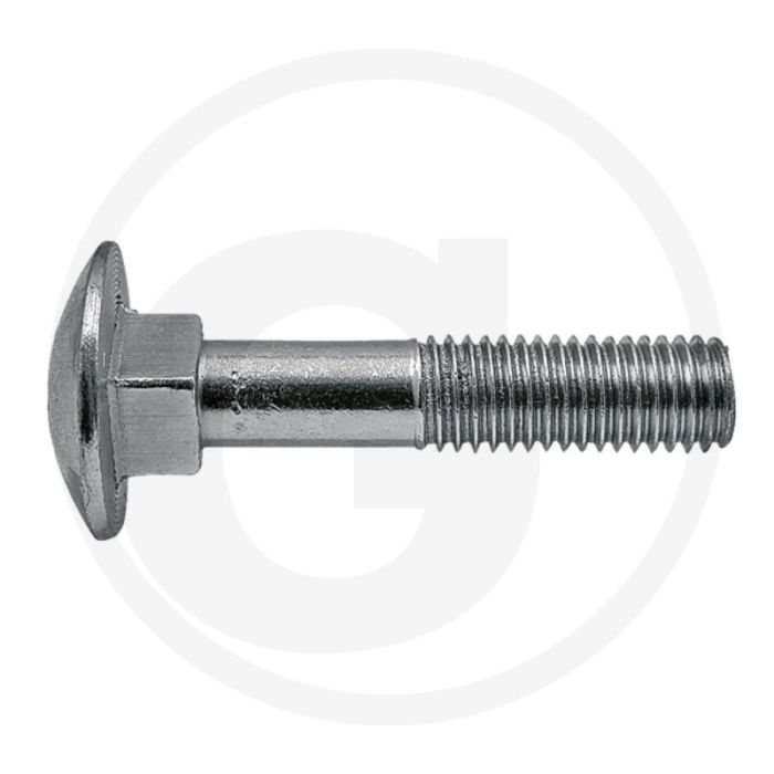 Slotbout M8 x 30, DIN 603, 8.8 - Staal, Verzinkt, Ø D: 8mm