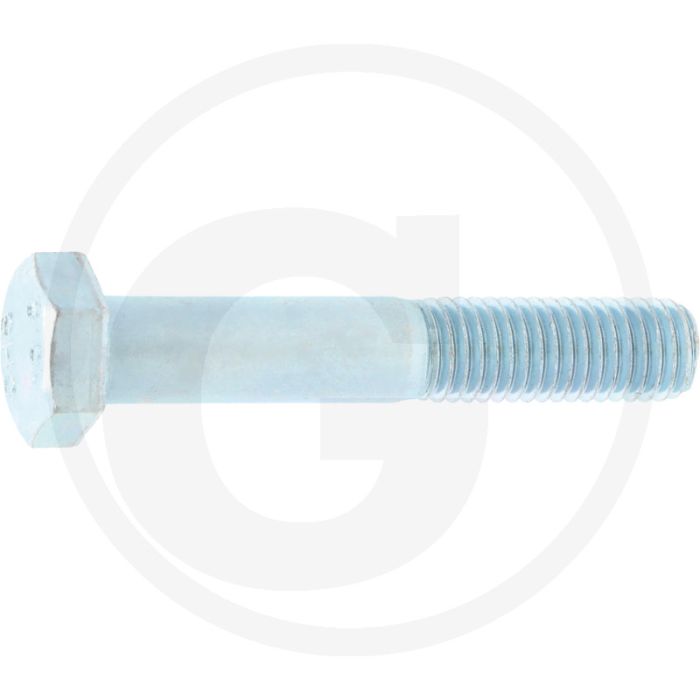 Ziegler Zeskantbout (M12 x 70, 10.9)