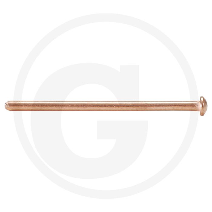 KS Tools Lasnagels 2x50 mm, verkoperd, pak met 500 stuks - Geschikt voor Super-Spotter KS Tools Lasnagels 2x50 mm, verkoperd, pak met 500 stuks - Geschikt voor Super-Spotter
