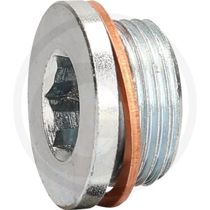 KS Tools Ölablassschraube M22 x 1,5 x 13 mm für Renault • Innensechskant. KS Tools Ölablassschraube M22 x 1,5 x 13 mm für Renault • Innensechskant.