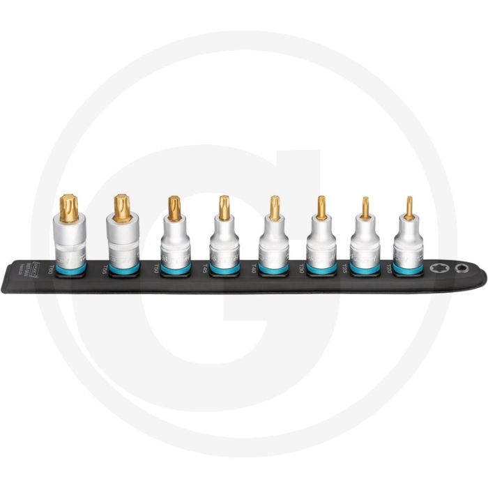 Hazet Langer Rail 1/2", TX-8-fach (8-teilig)