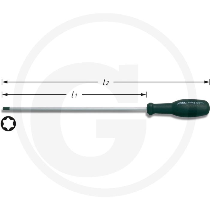 Hazet Schroevendraaier trinamic T 30 250 mm