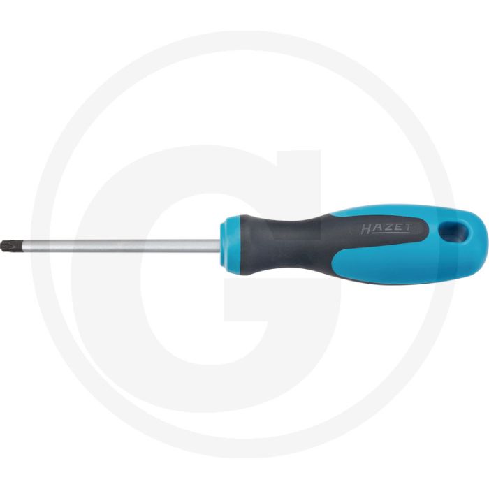 Hazet Schroevendraaier 230 mm T 30 ∙ 5,52