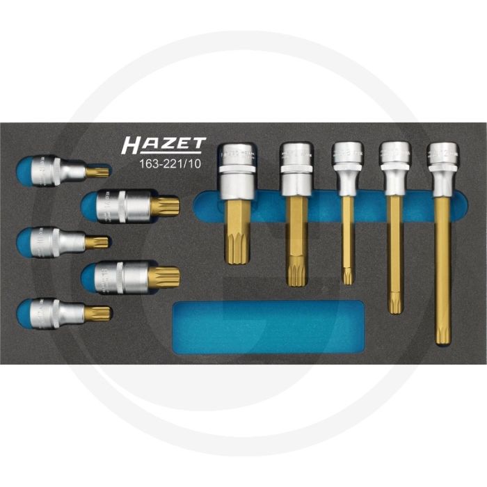 Hazet Schraubendreher-Einsatz-Satz met Safety-Insert-System