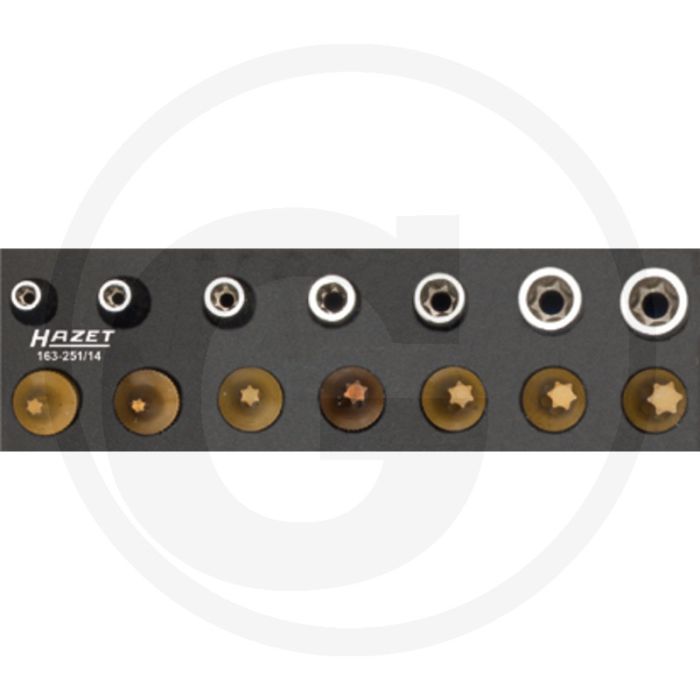 Hazet Dopsleutelbitset (XZN) TIN gecoat - 172 mm