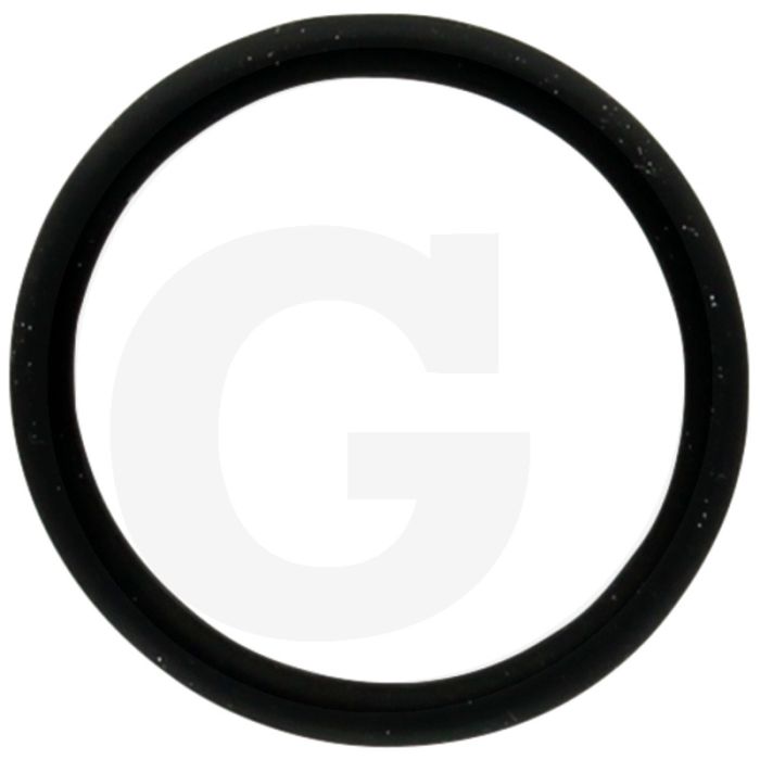 Annovi Reverberi O-ring Ø: 17,5 x 2 mm