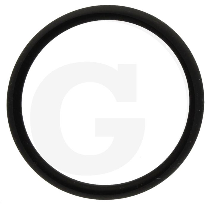 Annovi Reverberi O-ring Ø: 28,25 x 2,62 mm