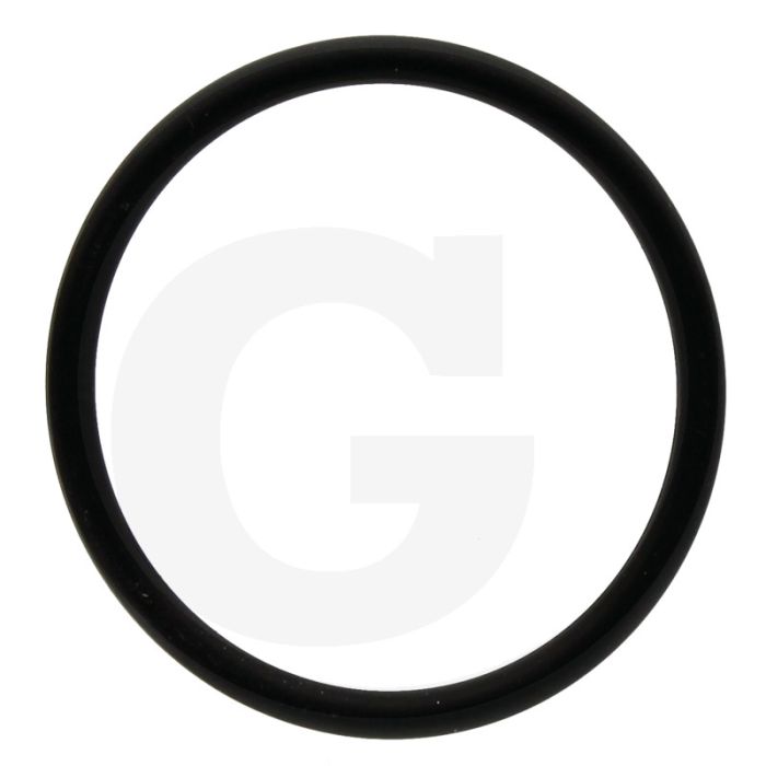 Annovi Reverberi O-ring Ø: 31,42 x 2,62 mm