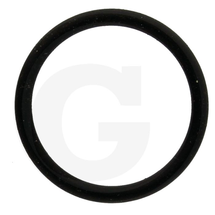 Annovi Reverberi O-ring Ø: 23,81 x 2,62 mm - Ref.nr. 550350