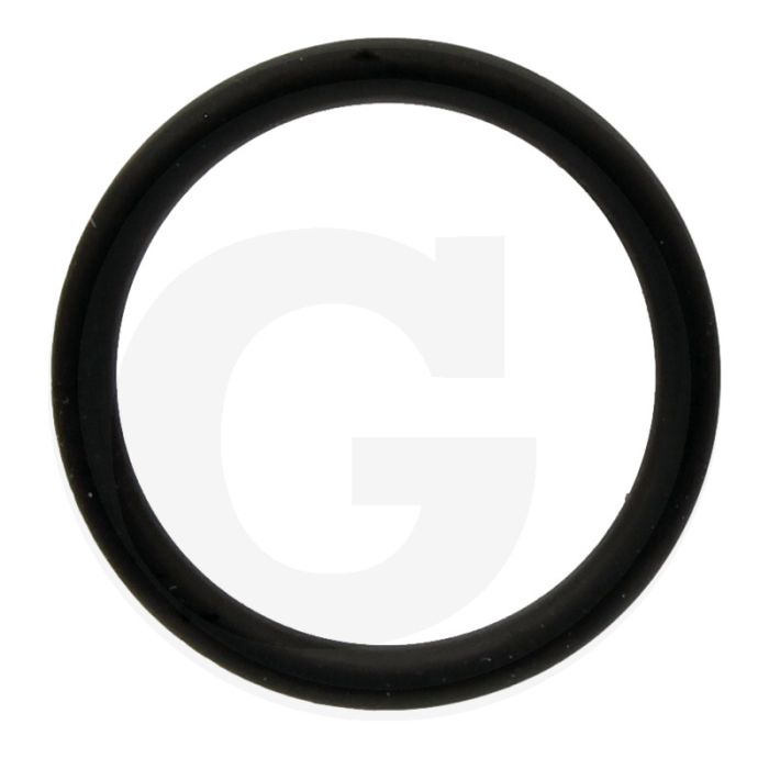 Annovi Reverberi O-ring Ø: 20,63 x 2,62 mm