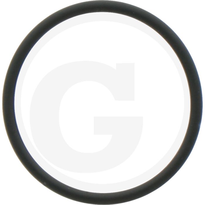 Annovi Reverberi O-ring Ø: 23,52 x 1,78 mm