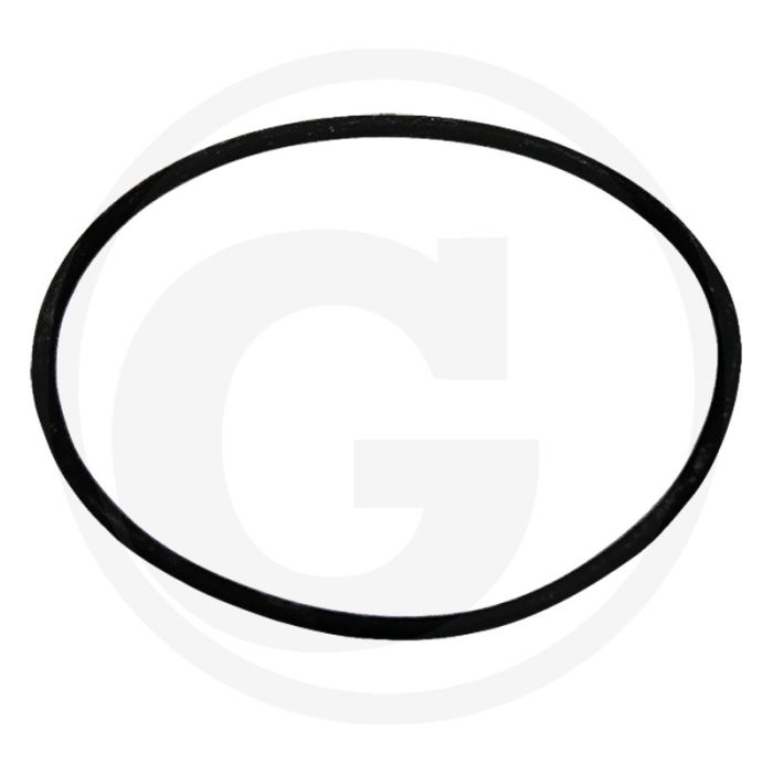 ARAG O-ring (voor filterhuis  serie 326)