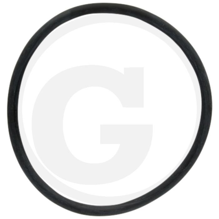 ARAG O-ring (voor filterelement)