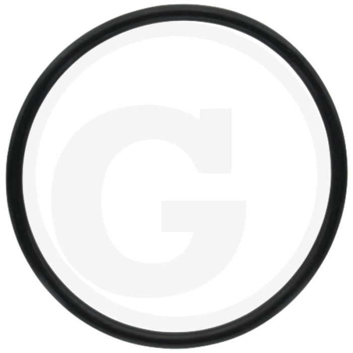 ARAG O-ring (voor filterhuis)