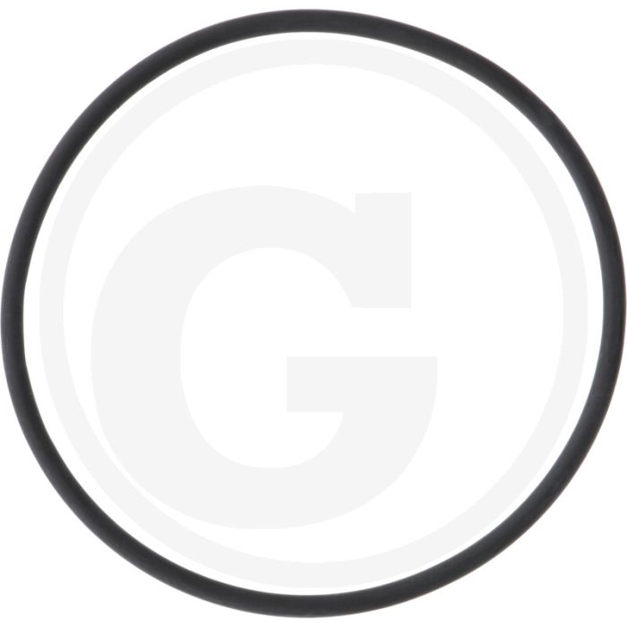 ARAG O-ring (afdichting voor insteektule) - Zuigfilters T9 serie