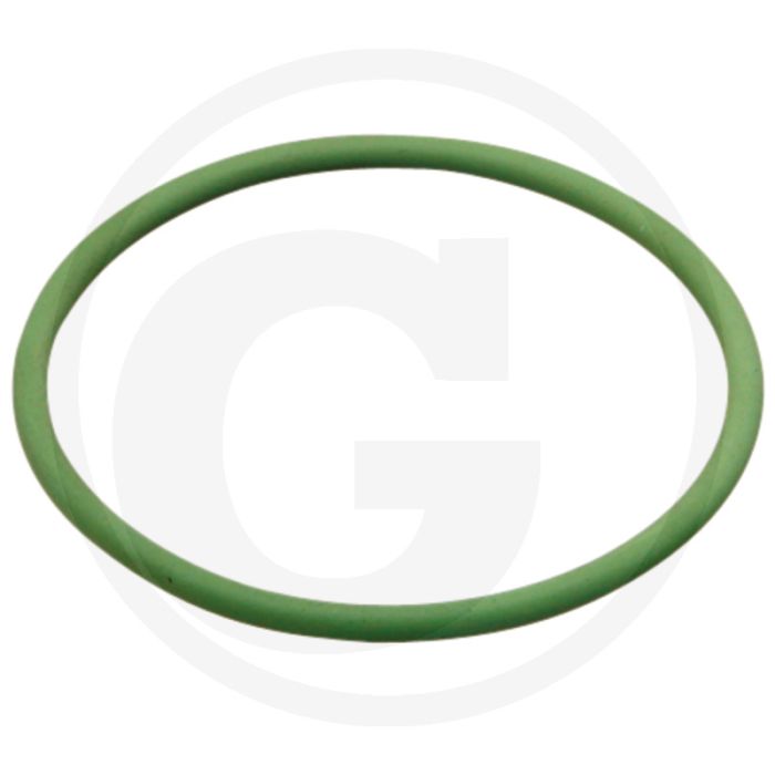 ARAG O-ring (voor inzetfilter)