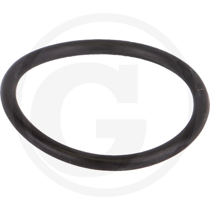 BANJO O-ring aftapplug - Zuigfilters met flensaansluiting 2"