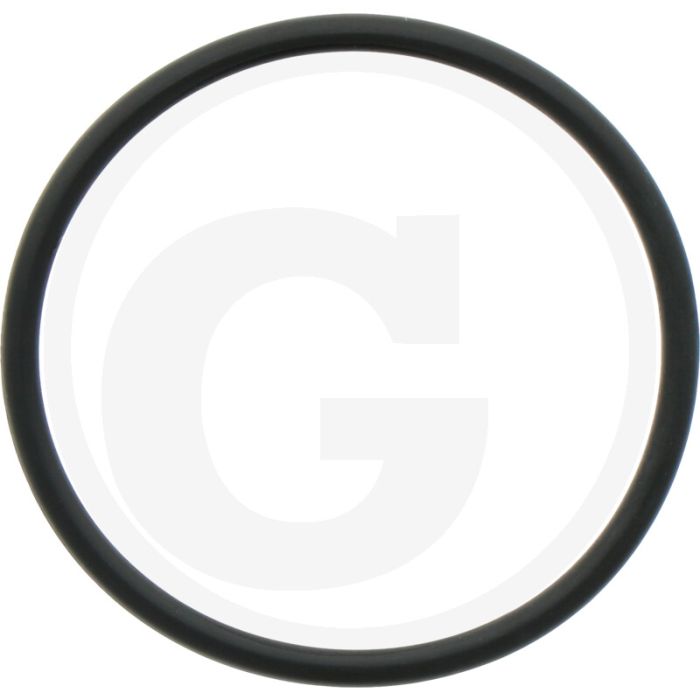 Braglia O-ring (voor filterhuis)