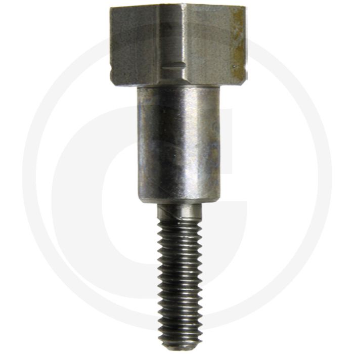 Adapterpen M10 x 1,25 RGI voor 2-Fadenkopf (13286862)
