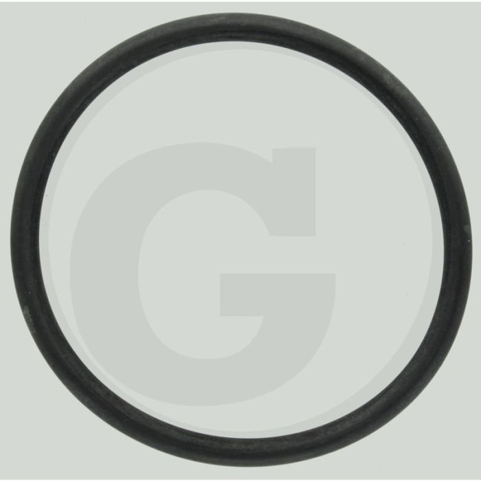 Amazone O-Ring 76,00x5,50 - Drukfilters
