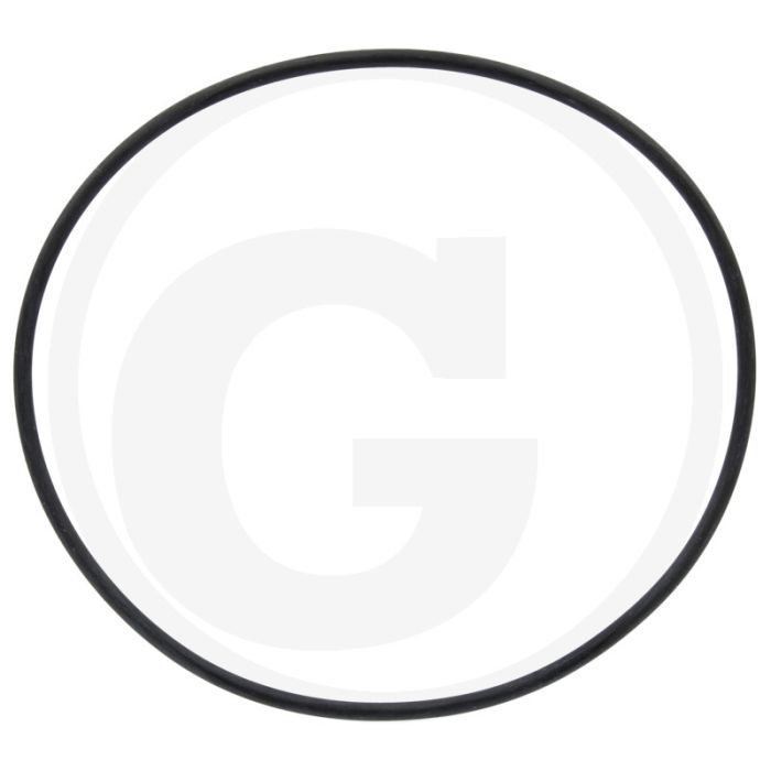 Horsch O-ring voor aanzuigfilterelement 317 ser. - Binnen-Ø: 94,92mm