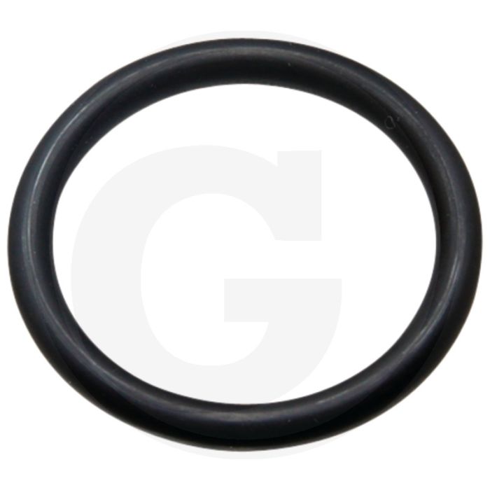 Annovi Reverberi O-ring 410, 508, 512 pomp 160L, 250L max. 20 bar Ø: 31,5 x 4,25