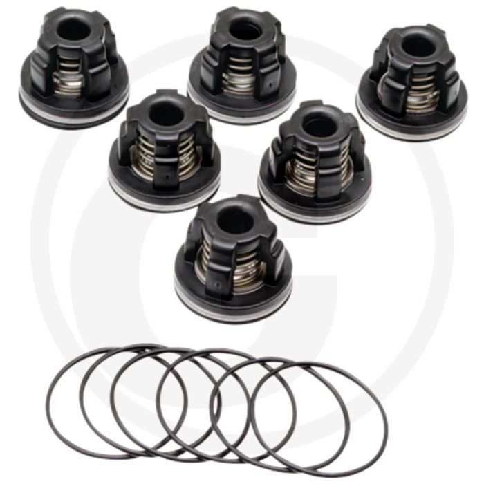 Annovi Reverberi Kleppenset (O-ring 6703120230  Klep 6703129050)