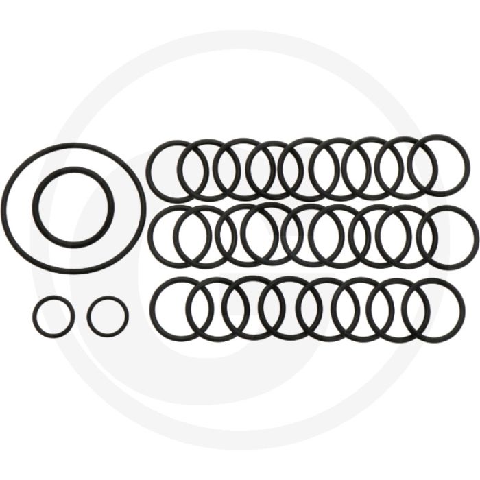 Annovi Reverberi O-ring set - 30 stuks