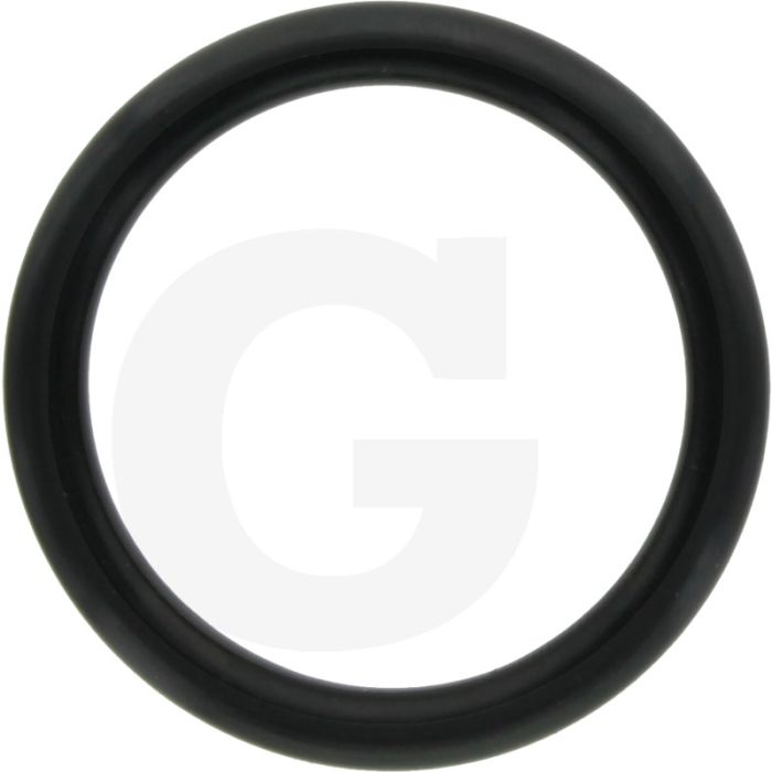 Annovi Reverberi O-ring Ø: 31,5 x 4,5 mm