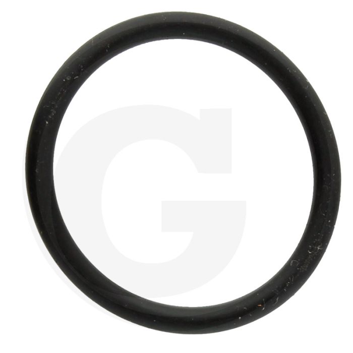 Annovi Reverberi O-ring Ø: 29 x 3 mm - Ref.nr. 390290 - Aantal per pomp 7
