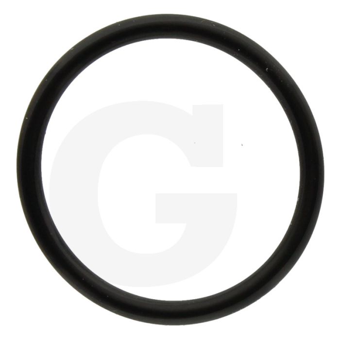 Annovi Reverberi O-ring Ø: 26,65 x 2,62 mm
