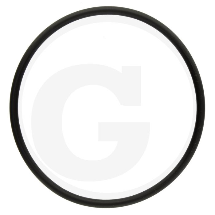 Annovi Reverberi O-ring Ø: 53,65 x 2,62 mm