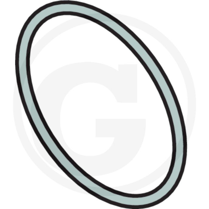 Annovi Reverberi O-ring Ø: 69,52 x 2,62 mm