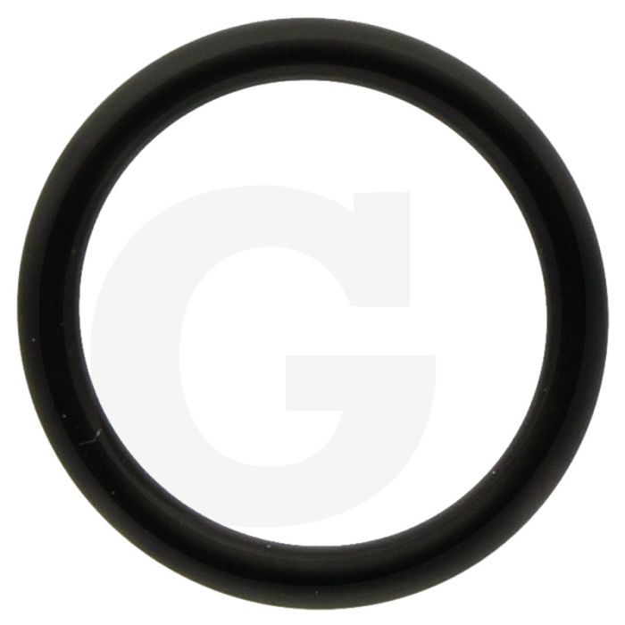 Annovi Reverberi O-ring Ø: 18,72 x 2,62 mm