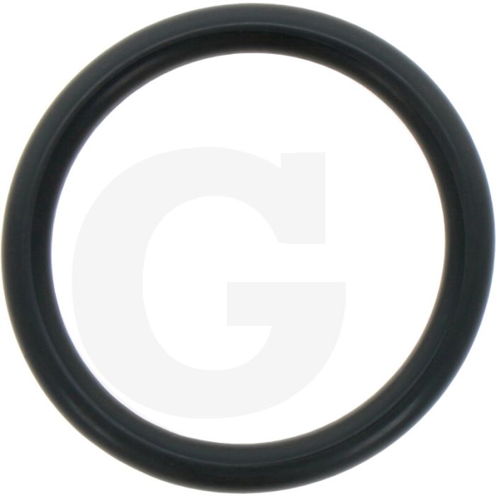 Annovi Reverberi O-ring Ø: 31,5 x 4,25 mm - Ref. 680070