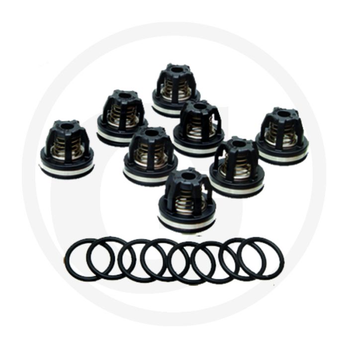 Annovi Reverberi Kleppenset (O-ring 670680070  klep 670759054)