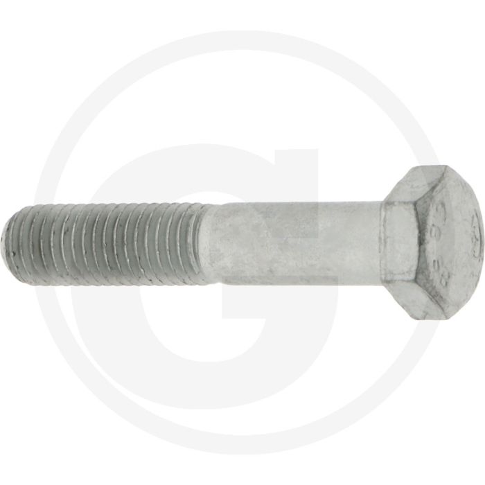 Annovi Reverberi Bout TE M12 x 65 mm. Aantal per pomp 12.