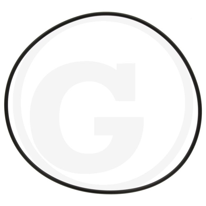 Annovi Reverberi O-ring Ø: 120,32 x 2,62 mm