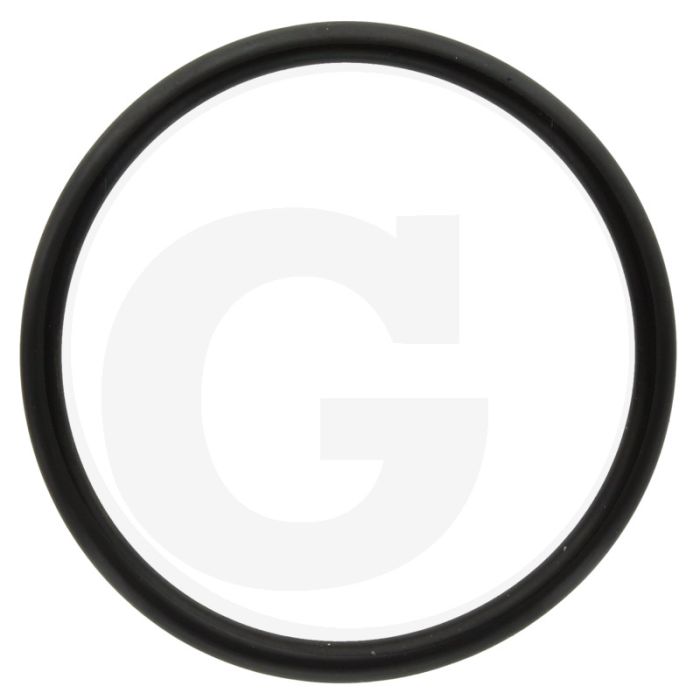 Annovi Reverberi O-ring Ø: 47,22 x 3,53 mm