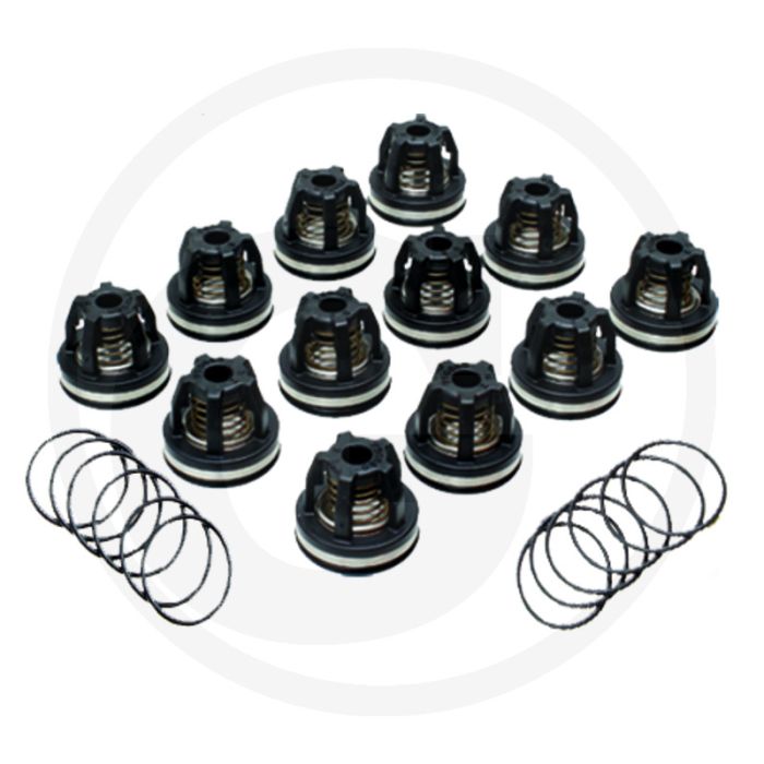 Annovi Reverberi Kleppenset (O-ring 670680070  klep 670759054)