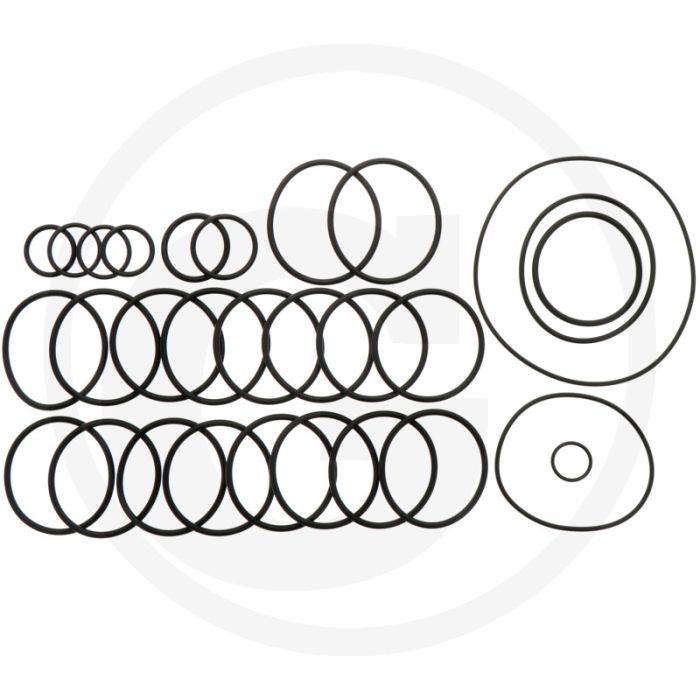 Annovi Reverberi O-ring set 28 stuks.