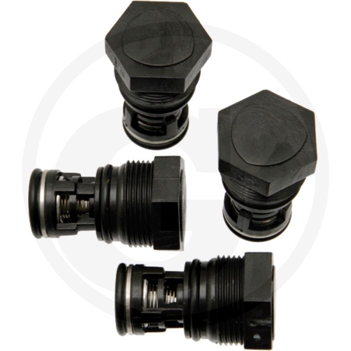 Annovi Reverberi Kleppenset (O-ring 670880830  klep 670809060)