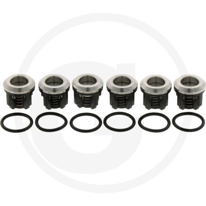 Annovi Reverberi Kleppenset (O-ring 6701140450  klep 6701889051)
