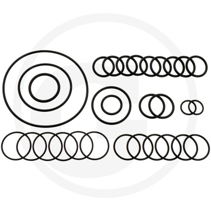 Annovi Reverberi O-ring set - 30 stuks