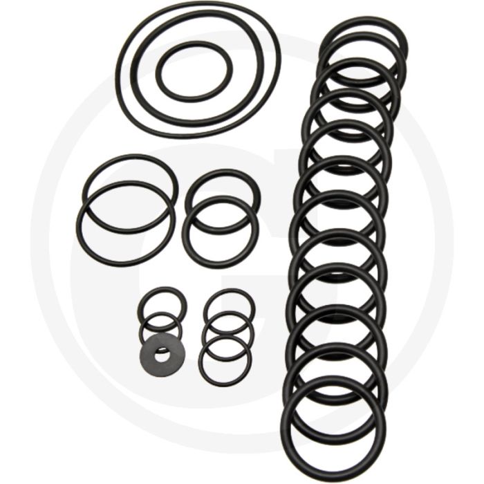 Annovi Reverberi O-ring set 45 stuks (Ref. 2431)