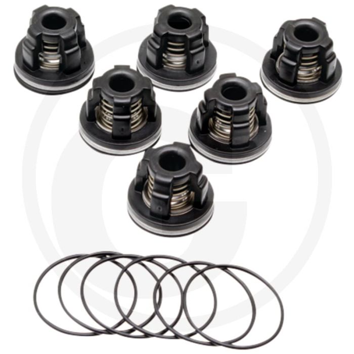 Annovi Reverberi Kleppenset (O-ring 670620030  klep 6701409050)