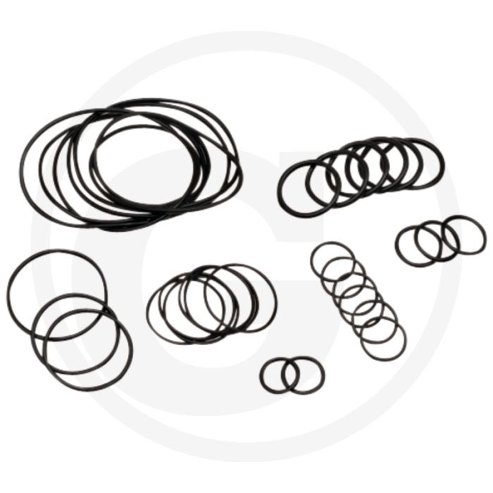 Annovi Reverberi O-ring set (tot serienr. 1801913999 (tot KW 19/2013))
