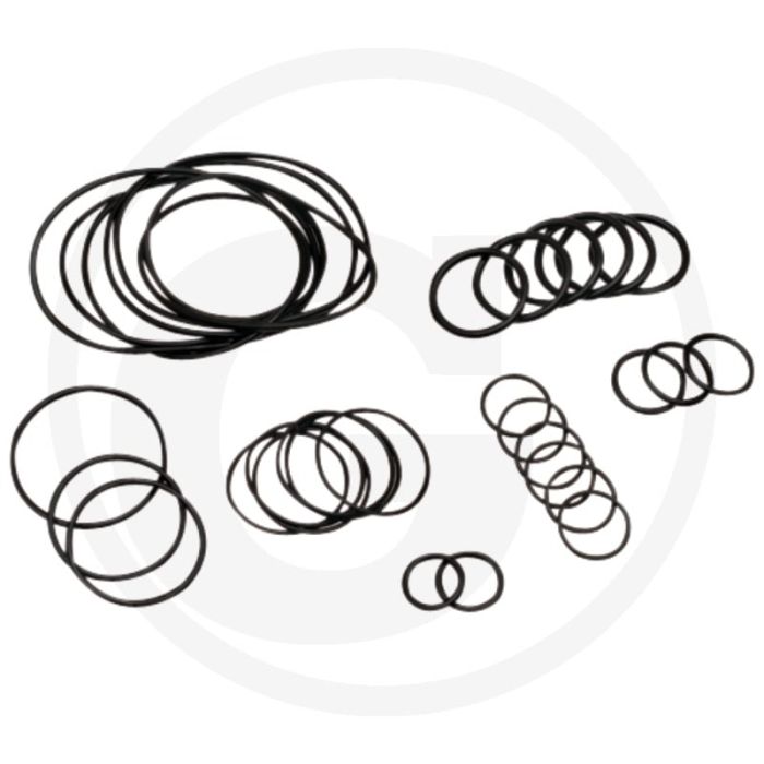 Annovi Reverberi O-ring set (vanaf serienummer 182013001 (vanaf KW 20/2013))