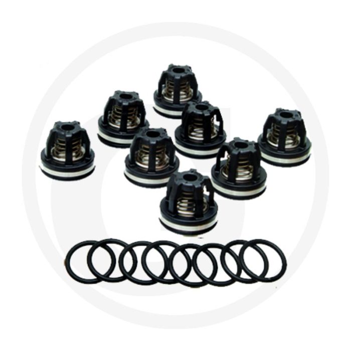 Annovi Reverberi Kleppenset (O-ring 670620030  klep 6701409050)