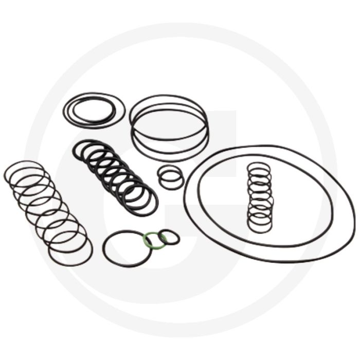 Annovi Reverberi O-ring set (tot serienr. 1821913999)